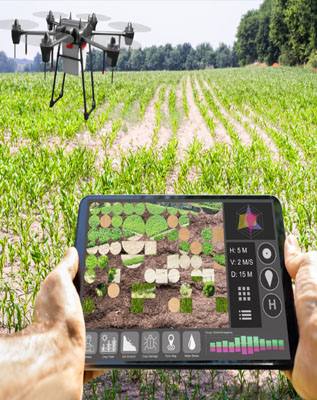 Upskill, Employ & Sustain